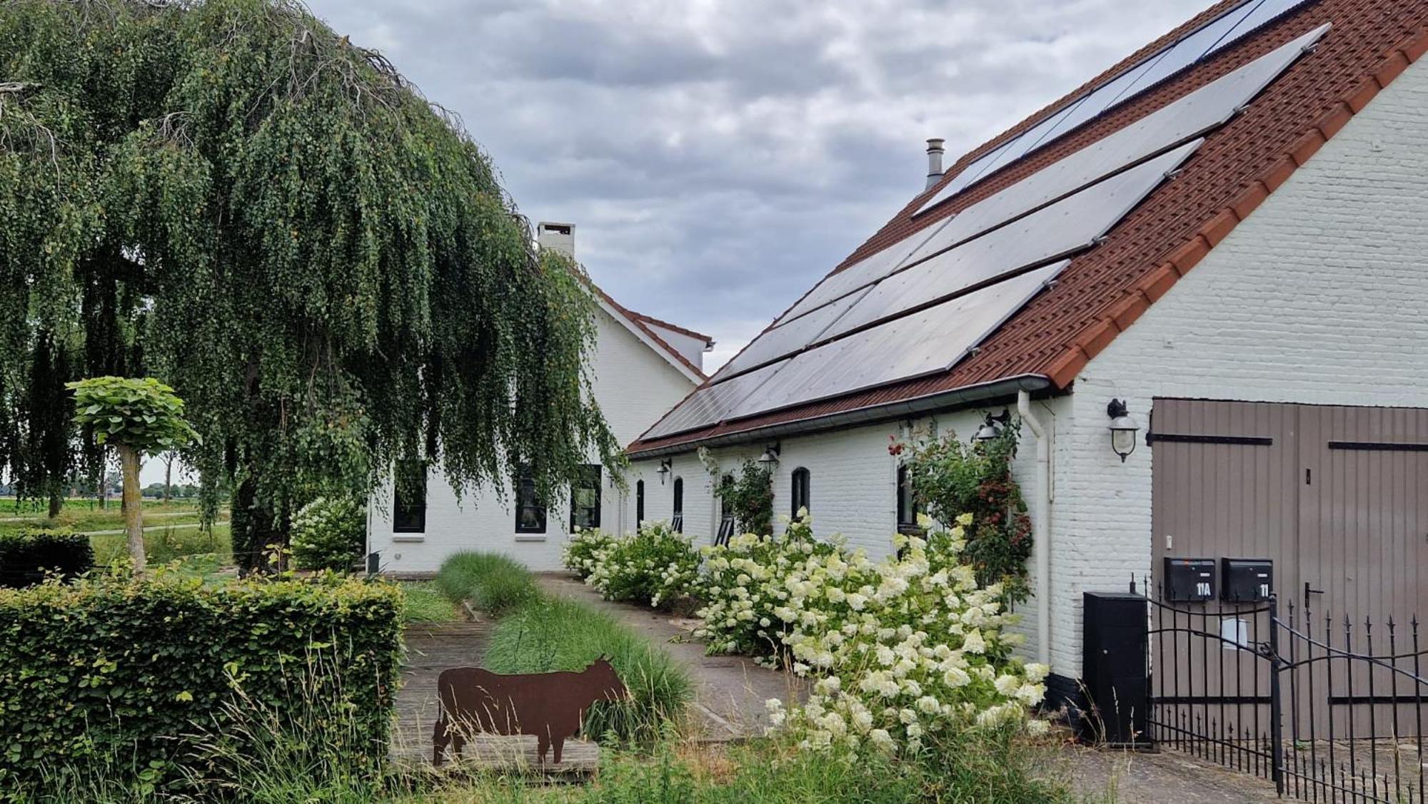 Mariafarm Bed and Breakfast Zevenbergen Exteriör bild